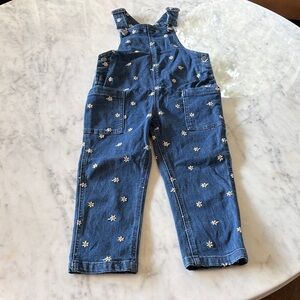Hanna Andersson Blue Overalls with White Floral Pattern